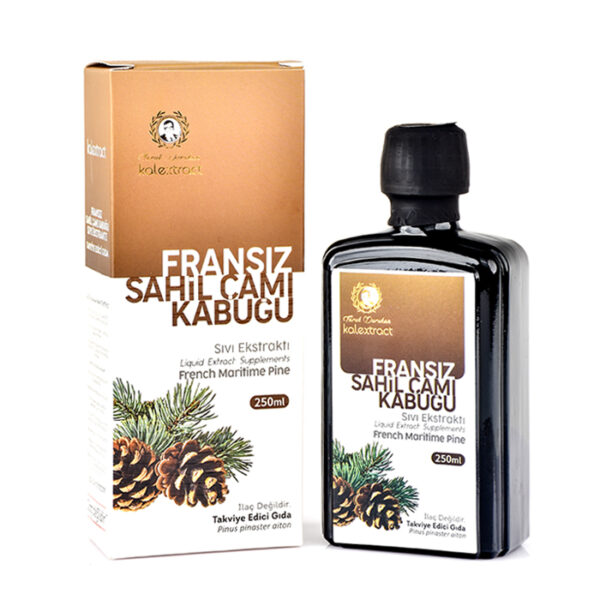 FRANSIZ SAHİL ÇAMI SIVI EKSTRAKTI