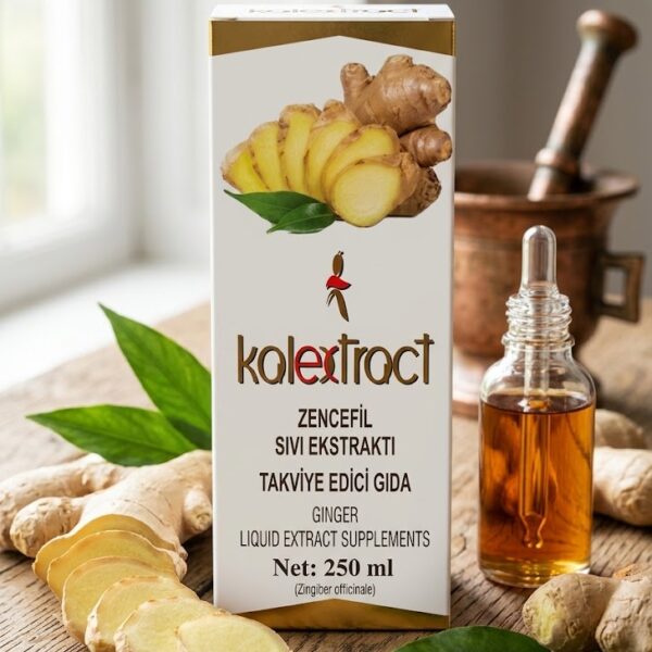 Zencefil Sıvı Ekstraktı 250ml